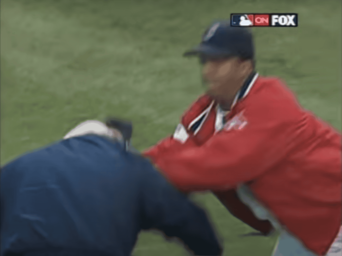 Zimmer Pedro