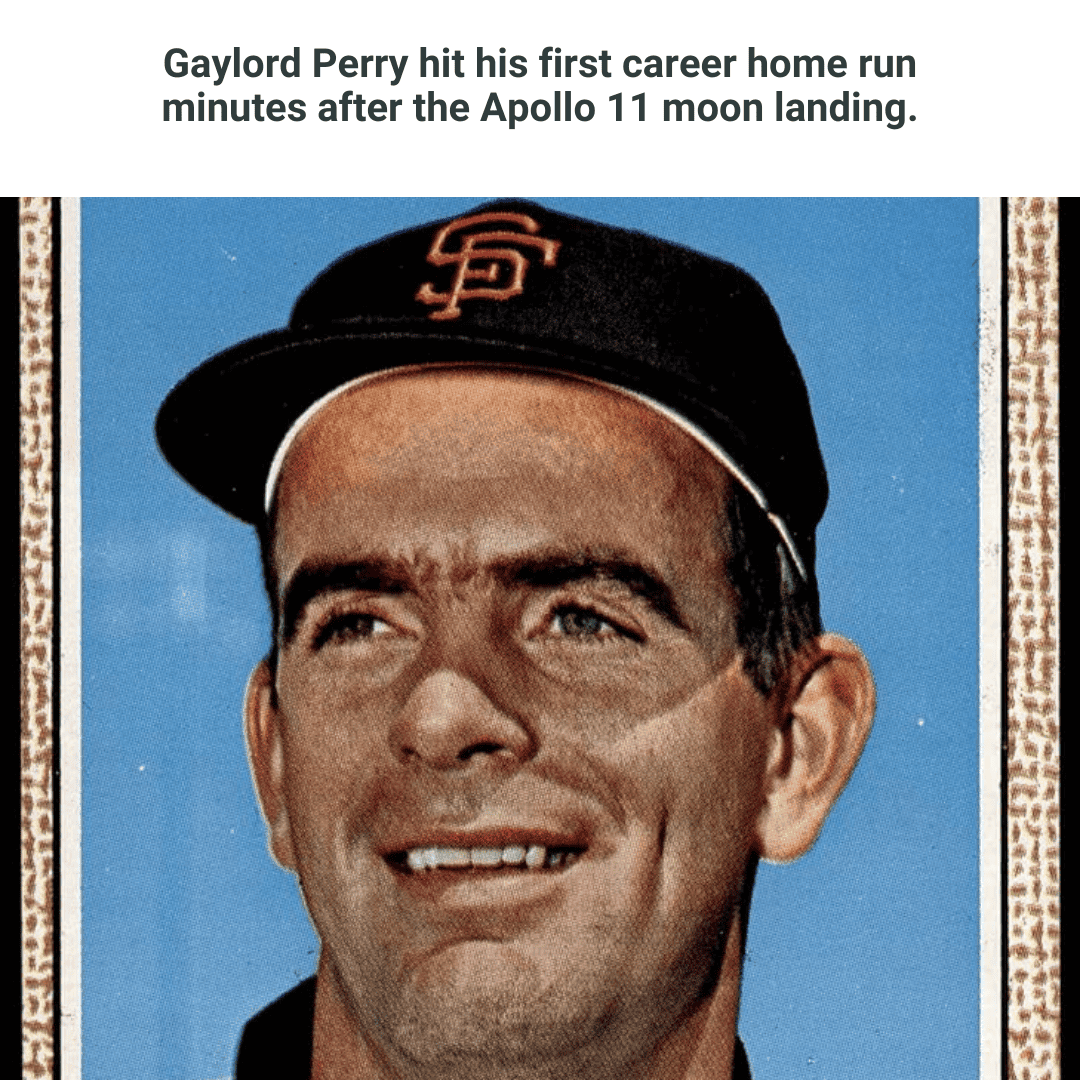 gaylord meme