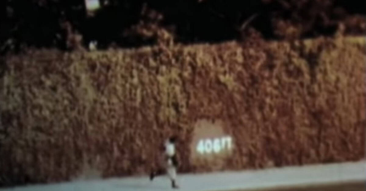 Berra WS 1960