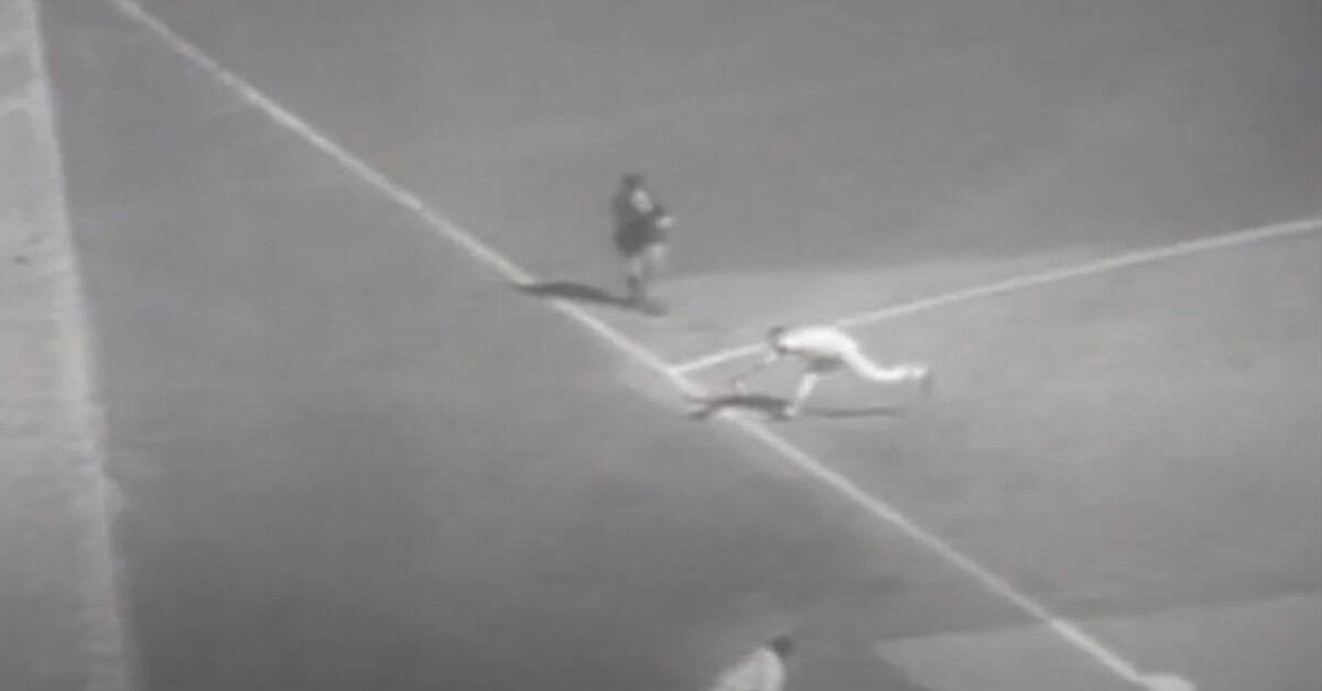 Brooks Robinson's legendary diving snag against the Reds in 1970.
