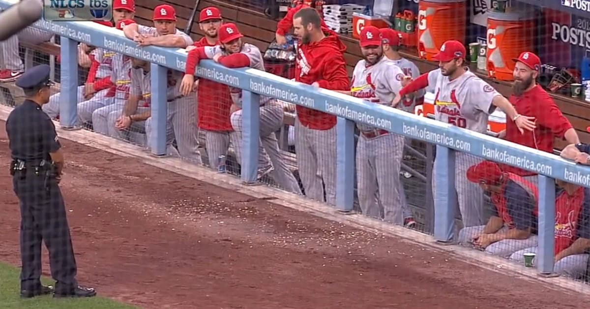 Cardinals Making Cop Laugh