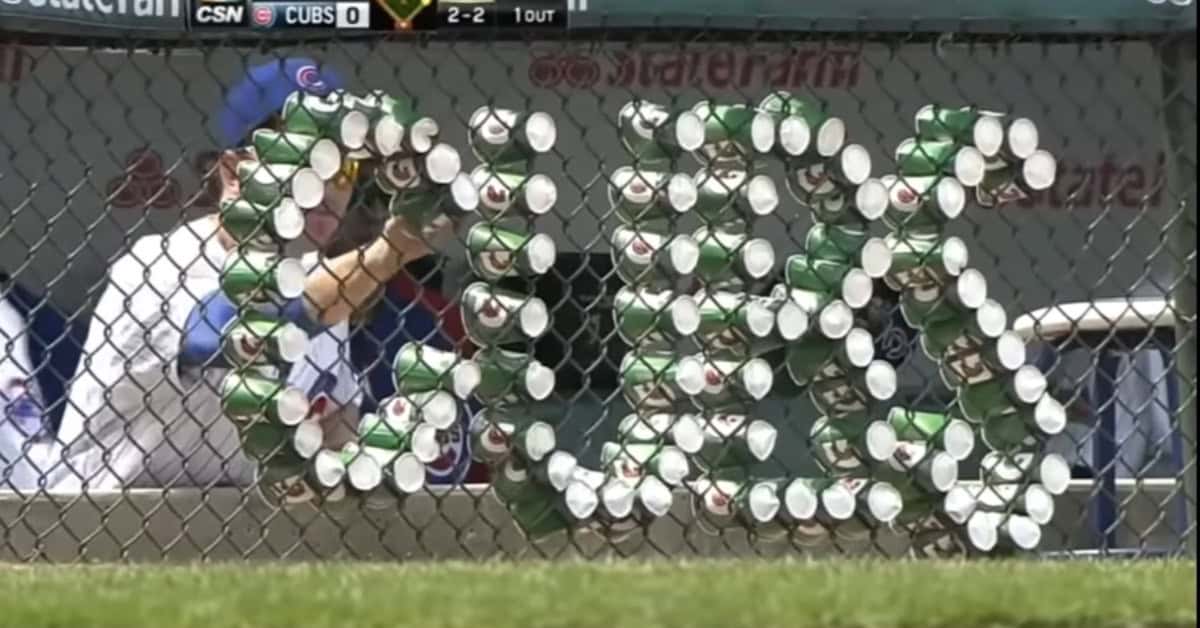 Cubs Cup Art