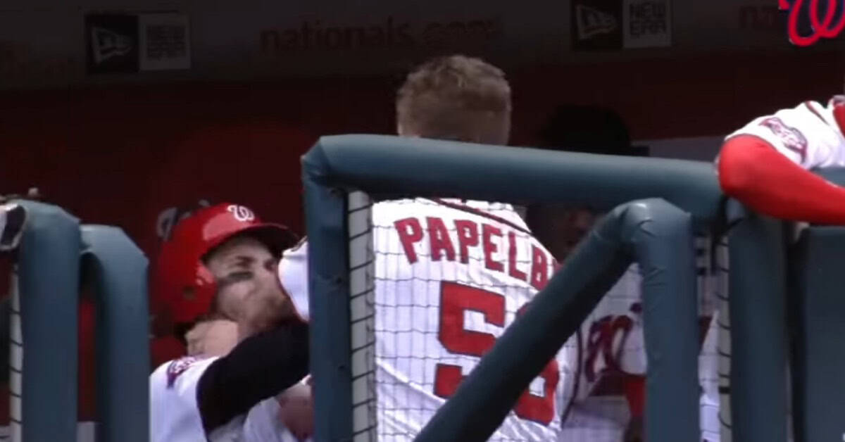 Pine Tar, Kicked Dirt, Pure Rage: Dugout Meltdowns We Still Love 8 Harper Papelbon