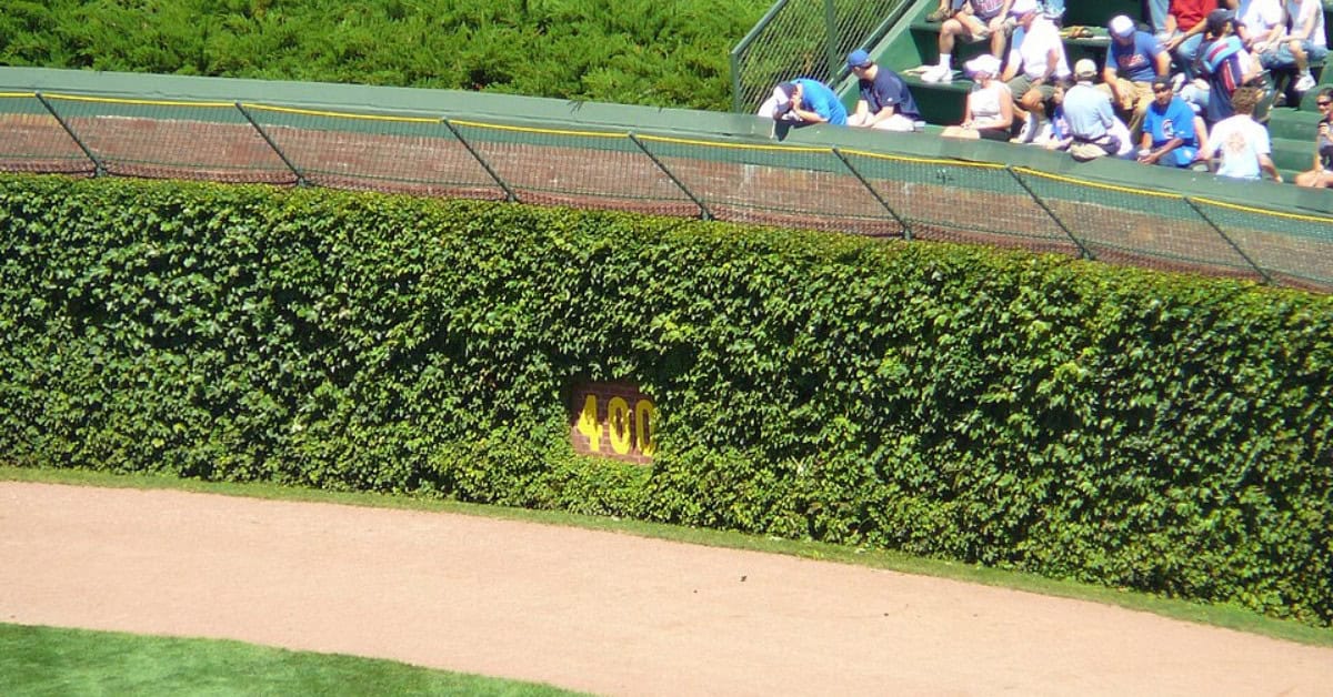 Where the Park Itself Became Part of the Story 3 Wrigley Field 1