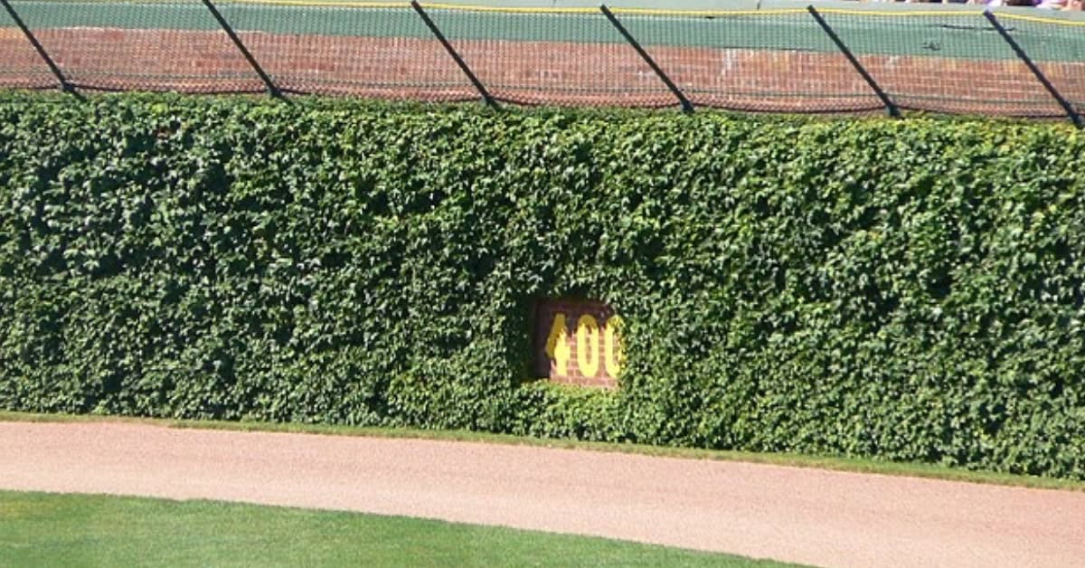 Every Baseball Fan Should See These 12 Parks Before They're Gone 3 Wrigley Field Ivy Cropped