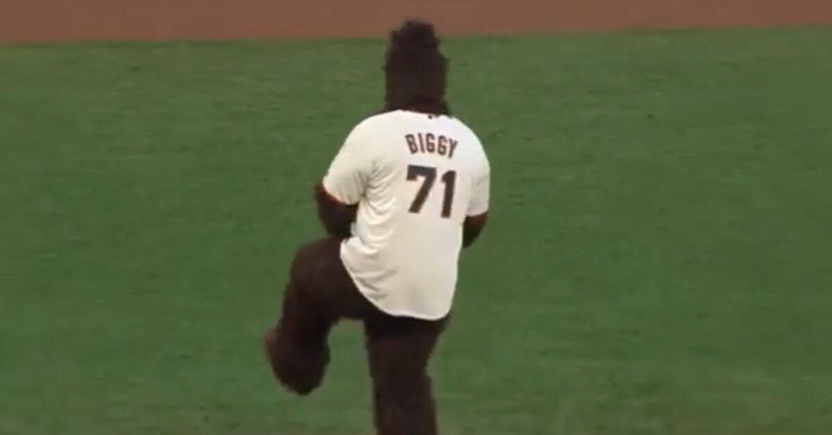 Some First Pitches Should Not Have Been Allowed to Happen 11 Biggy First Pitch