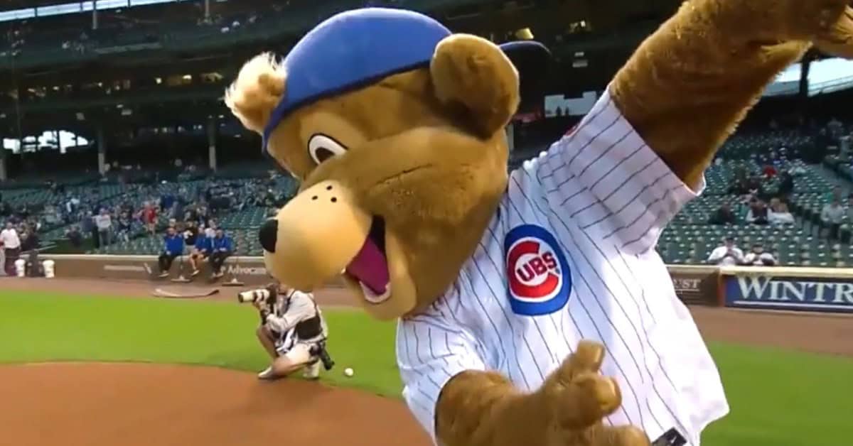 Cubs Mascot Conor McGregor
