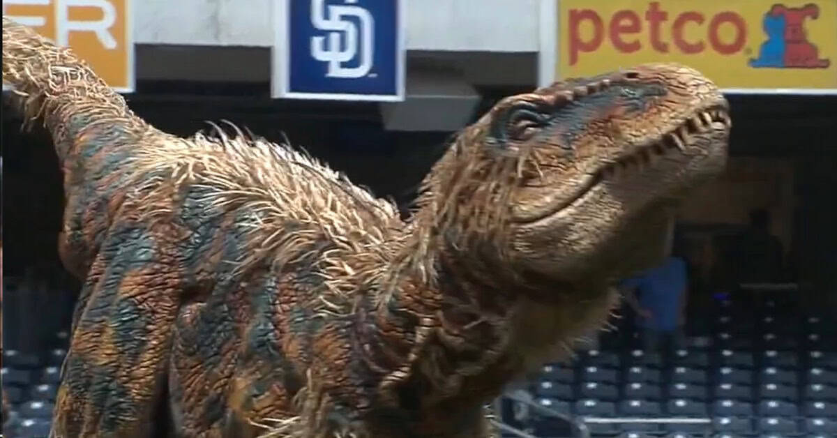 Some First Pitches Should Not Have Been Allowed to Happen 3 Raptor First Pitch