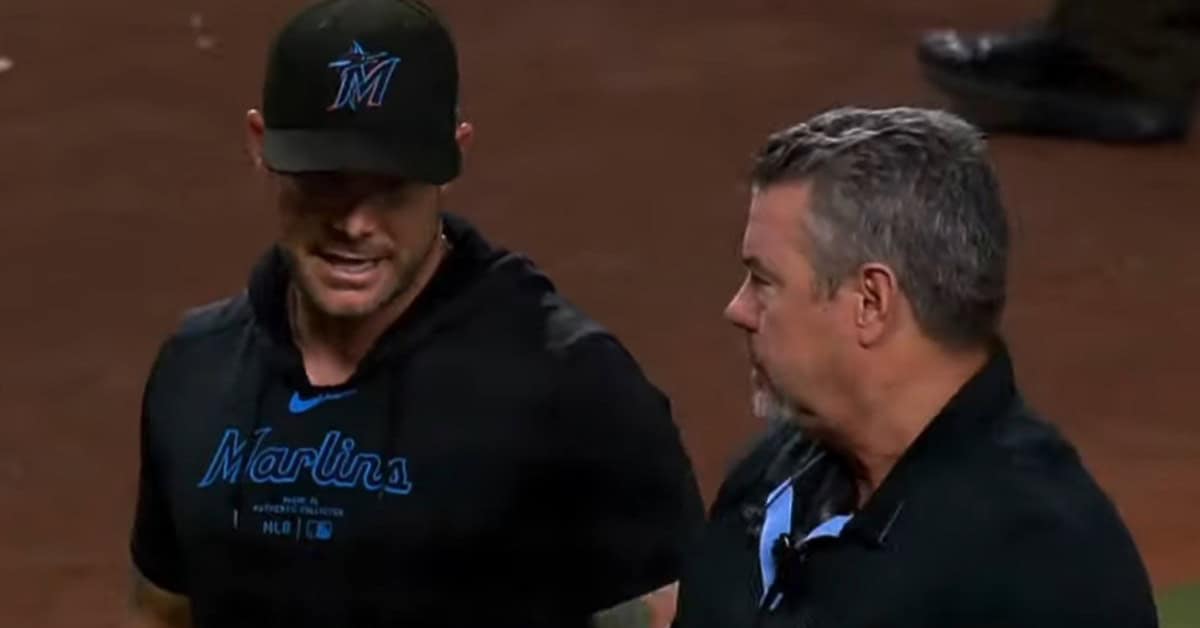 The MLB Umpires Fans Openly Despised 13 Rob Drake